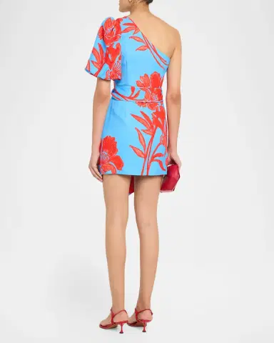 Cara Cara Lucia One-Shoulder Mini Dress | Thumbnail 3 Cara Cara Lucia One-Shoulder Mini Dress | Thumbnail 3