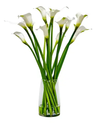 Winward Home Calla Lily 30" Faux Floral Arrangement in Glass Vase | Thumbnail 1 Winward Home Calla Lily 30" Faux Floral Arrangement in Glass Vase | Thumbnail 1