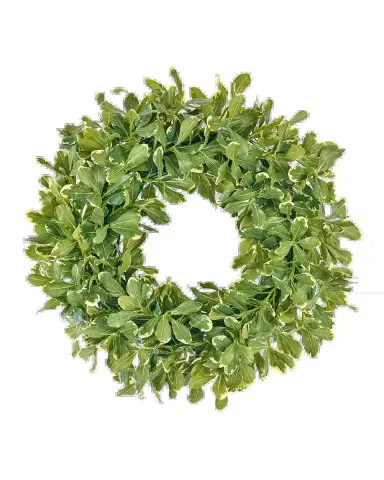 Winward Home Faux Pittosporum Spray 24" Wreath | Thumbnail 2 Winward Home Faux Pittosporum Spray 24" Wreath | Thumbnail 2