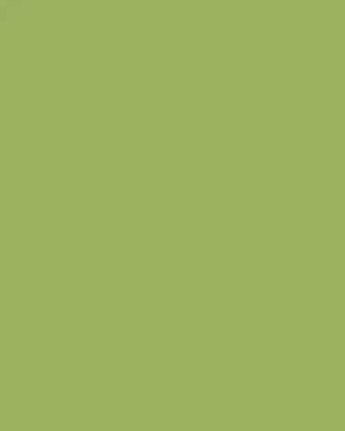 Winward Home Faux Pittosporum Spray 24" Wreath | Thumbnail 3 Winward Home Faux Pittosporum Spray 24" Wreath | Thumbnail 3
