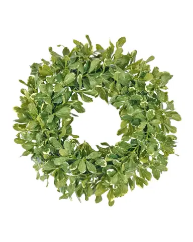 Winward Home Faux Pittosporum Spray 24" Wreath | Thumbnail 1 Winward Home Faux Pittosporum Spray 24" Wreath | Thumbnail 1