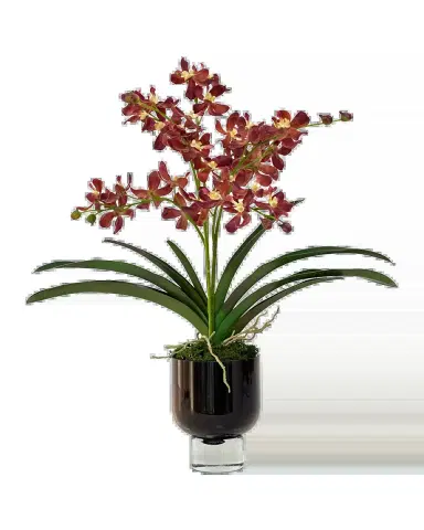 Winward Home Vanda Lamellata Orchids 23" Faux Plant in Glass Vase | Thumbnail 2 Winward Home Vanda Lamellata Orchids 23" Faux Plant in Glass Vase | Thumbnail 2