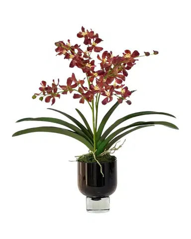 Winward Home Vanda Lamellata Orchids 23" Faux Plant in Glass Vase | Thumbnail 1 Winward Home Vanda Lamellata Orchids 23" Faux Plant in Glass Vase | Thumbnail 1