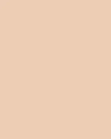CHANTECAILLE Future Skin Cushion Skincare Foundation | Thumbnail 3 CHANTECAILLE Future Skin Cushion Skincare Foundation | Thumbnail 3