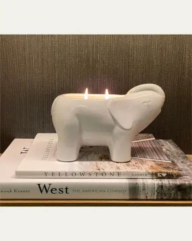Thompson Ferrier 28 oz Elephant Scented Candle | Thumbnail 2 Thompson Ferrier 28 oz Elephant Scented Candle | Thumbnail 2