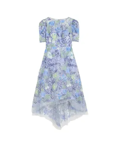 Rickie Freeman for Teri Jon High-Low Embroidered Tulle Maxi Dress | Thumbnail 1 Rickie Freeman for Teri Jon High-Low Embroidered Tulle Maxi Dress | Thumbnail 1