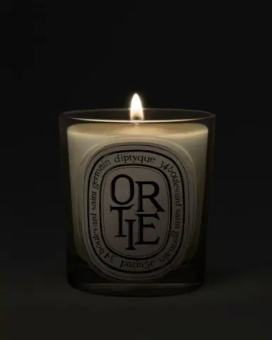Diptyque Ortie (Nettle) Classic Candle, 6.7 oz. | Thumbnail 2 Diptyque Ortie (Nettle) Classic Candle, 6.7 oz. | Thumbnail 2