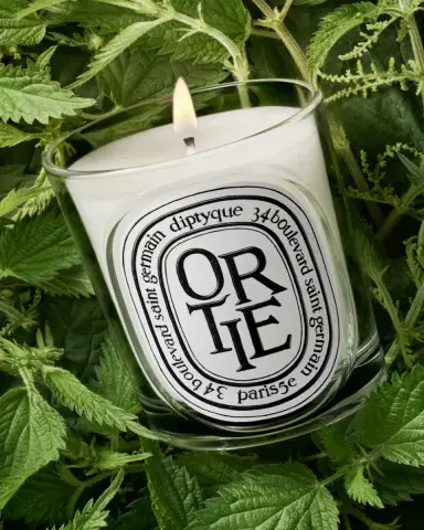 Diptyque Ortie (Nettle) Classic Candle, 6.7 oz. | Thumbnail 3 Diptyque Ortie (Nettle) Classic Candle, 6.7 oz. | Thumbnail 3