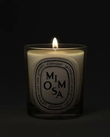 Diptyque Mimosa Classic Candle, 6.7 oz. | Thumbnail 2 Diptyque Mimosa Classic Candle, 6.7 oz. | Thumbnail 2