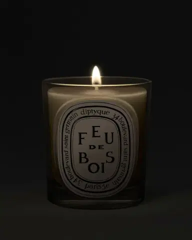 Diptyque Feu de Bois (Wood Fire) Classic Candle, 6.7 oz. | Thumbnail 2 Diptyque Feu de Bois (Wood Fire) Classic Candle, 6.7 oz. | Thumbnail 2
