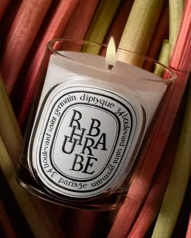 Diptyque Rhubarbe (Rhubarb) Classic Candle, 6.7 oz. | Thumbnail 3 Diptyque Rhubarbe (Rhubarb) Classic Candle, 6.7 oz. | Thumbnail 3