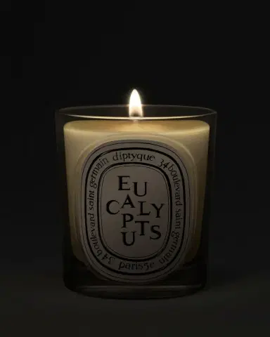 Diptyque Eucalyptus Classic Candle, 6.7 oz. | Thumbnail 2 Diptyque Eucalyptus Classic Candle, 6.7 oz. | Thumbnail 2
