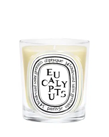 Diptyque Eucalyptus Classic Candle, 6.7 oz. | Thumbnail 1 Diptyque Eucalyptus Classic Candle, 6.7 oz. | Thumbnail 1