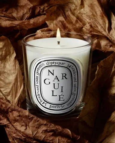Diptyque Narguil Classic Candle, 6.7 oz. | Thumbnail 3 Diptyque Narguil Classic Candle, 6.7 oz. | Thumbnail 3