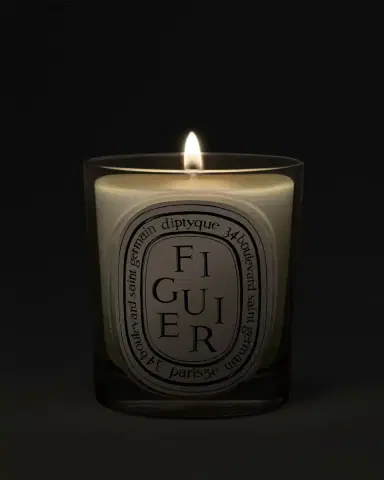 Diptyque Figuier (Fig Tree) Classic Candle, 6.7 oz. | Thumbnail 2 Diptyque Figuier (Fig Tree) Classic Candle, 6.7 oz. | Thumbnail 2