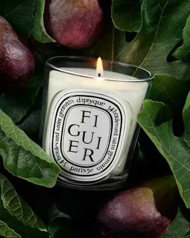 Diptyque Figuier (Fig Tree) Classic Candle, 6.7 oz. | Thumbnail 3 Diptyque Figuier (Fig Tree) Classic Candle, 6.7 oz. | Thumbnail 3