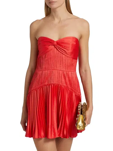 AMUR Women's Catrina Pleated Strapless Minidress - Red Rock | Thumbnail 3 AMUR Women's Catrina Pleated Strapless Minidress - Red Rock | Thumbnail 3