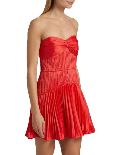 AMUR Women's Catrina Pleated Strapless Minidress - Red Rock | Thumbnail 4 AMUR Women's Catrina Pleated Strapless Minidress - Red Rock | Thumbnail 4