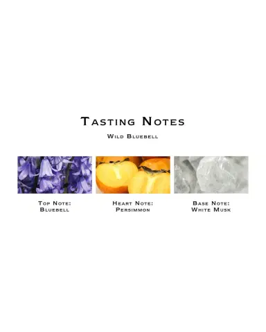 Jo Malone London 5.6 oz. Wild Bluebell Diffuser | Thumbnail 2 Jo Malone London 5.6 oz. Wild Bluebell Diffuser | Thumbnail 2