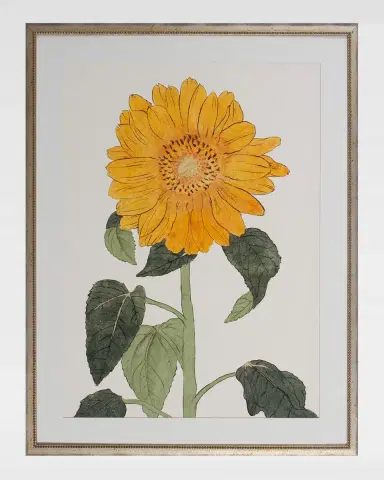 Shadow Catchers "Enchanting Bloom VIII" Framed Giclee | Thumbnail 2 Shadow Catchers "Enchanting Bloom VIII" Framed Giclee | Thumbnail 2