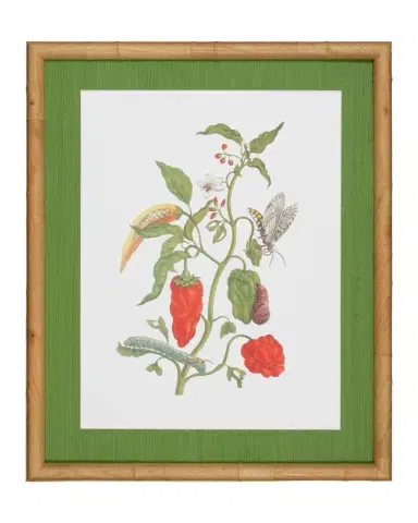 Shadow Catchers "Classic Botanical II" Framed Giclee | Thumbnail 1 Shadow Catchers "Classic Botanical II" Framed Giclee | Thumbnail 1