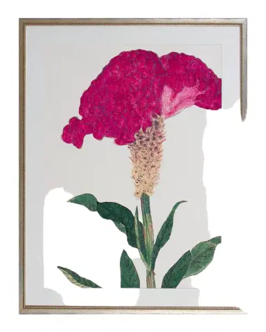 Shadow Catchers "Enchanting Bloom I" Framed Giclee | Thumbnail 1 Shadow Catchers "Enchanting Bloom I" Framed Giclee | Thumbnail 1