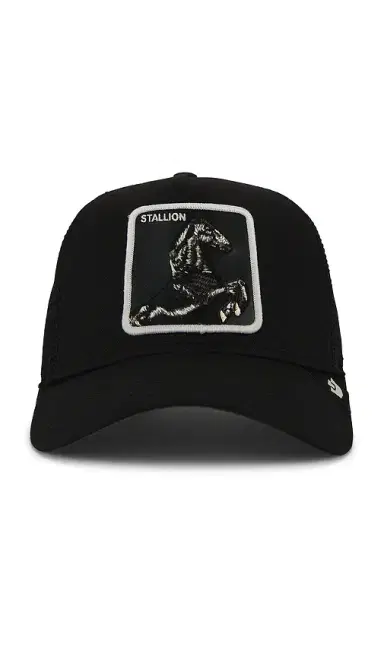 Goorin Brothers Stallion Trucker Hat | Thumbnail 1 Goorin Brothers Stallion Trucker Hat | Thumbnail 1
