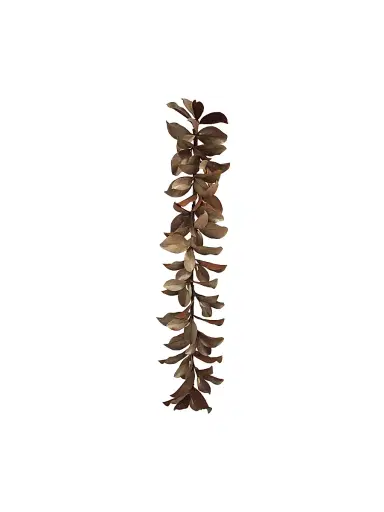 Winward Home Artificial Dry Magnolia Leaf Garland | Thumbnail 1 Winward Home Artificial Dry Magnolia Leaf Garland | Thumbnail 1