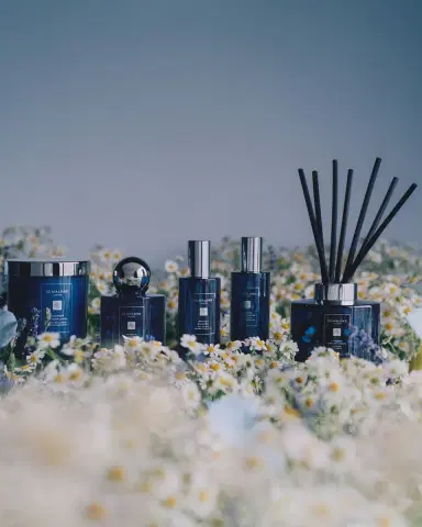 Jo Malone London 7 oz. Lavender & Moonflower Home Candle | Thumbnail 4 Jo Malone London 7 oz. Lavender & Moonflower Home Candle | Thumbnail 4