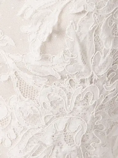 Danielle Frankel Edie Appliquéd Silk Chiffon-trimmed Cotton-blend Corded Lace Gown | Thumbnail 4 Danielle Frankel Edie Appliquéd Silk Chiffon-trimmed Cotton-blend Corded Lace Gown | Thumbnail 4