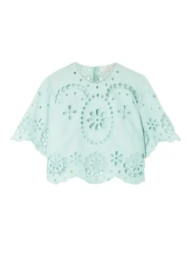 Zimmermann Awaken Cropped Broderie Anglaise Linen Top | Thumbnail 1 Zimmermann Awaken Cropped Broderie Anglaise Linen Top | Thumbnail 1