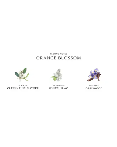 Jo Malone London Orange Blossom Cologne, 3.4 oz. | Thumbnail 3 Jo Malone London Orange Blossom Cologne, 3.4 oz. | Thumbnail 3