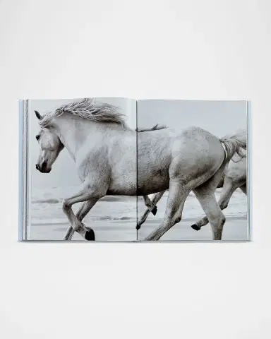 Graphic Image "Untamed Spirits: Horses From Around the World" Leather-Bound Book by Drew Doggett | Thumbnail 3 Graphic Image "Untamed Spirits: Horses From Around the World" Leather-Bound Book by Drew Doggett | Thumbnail 3