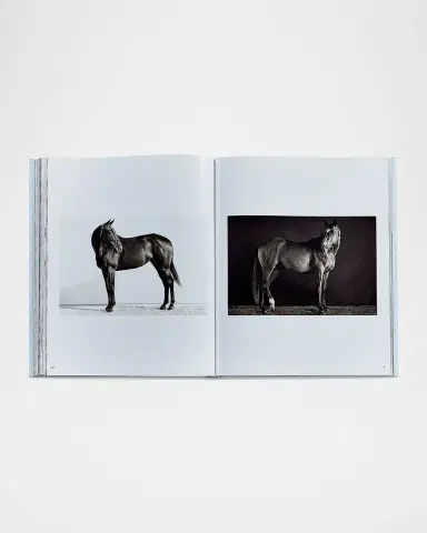 Graphic Image "Untamed Spirits: Horses From Around the World" Leather-Bound Book by Drew Doggett | Thumbnail 5 Graphic Image "Untamed Spirits: Horses From Around the World" Leather-Bound Book by Drew Doggett | Thumbnail 5