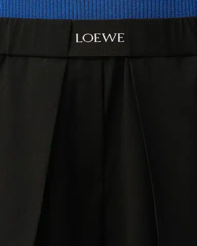 Loewe Logo Waist Asymmetric Pleated Pants | Thumbnail 5 Loewe Logo Waist Asymmetric Pleated Pants | Thumbnail 5