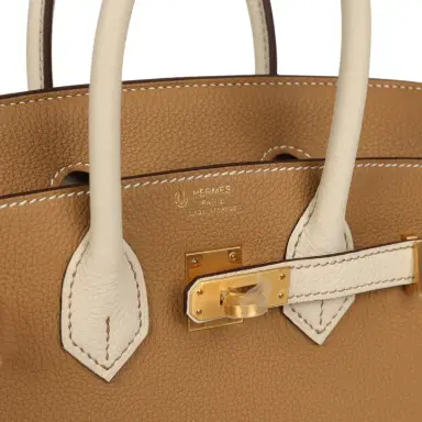 HERMÈS Hermes Special Order (HSS) Birkin 25 Biscuit and Craie Togo Brushed Gold Hardware | Thumbnail 7 HERMÈS Hermes Special Order (HSS) Birkin 25 Biscuit and Craie Togo Brushed Gold Hardware | Thumbnail 7