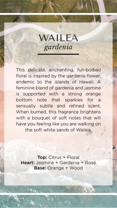 Malibu Apothecary Wailea Candle | Thumbnail 4 Malibu Apothecary Wailea Candle | Thumbnail 4
