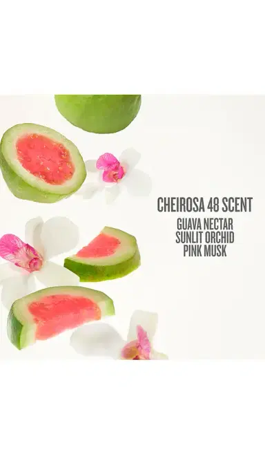Sol de Janeiro Cheirosa 48 Perfume Mist | Thumbnail 3 Sol de Janeiro Cheirosa 48 Perfume Mist | Thumbnail 3