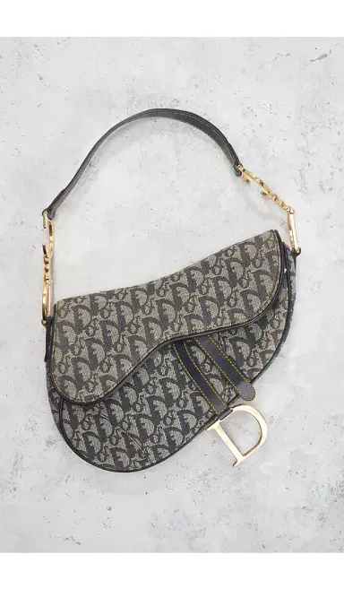 Dior Trotter Oblique Saddle Bag | Thumbnail 22 Dior Trotter Oblique Saddle Bag | Thumbnail 22
