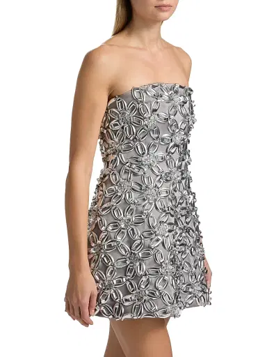 SIMKHAI Women's Vandelia Embellished Strapless Minidress - Slate Gray | Thumbnail 4 SIMKHAI Women's Vandelia Embellished Strapless Minidress - Slate Gray | Thumbnail 4