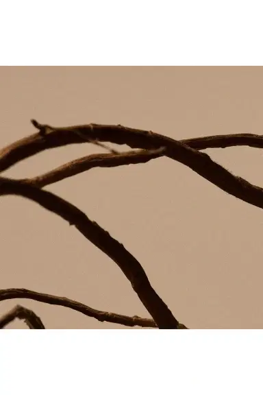 Aesop Solais Replenishing Hand Serum | Thumbnail 14 Aesop Solais Replenishing Hand Serum | Thumbnail 14