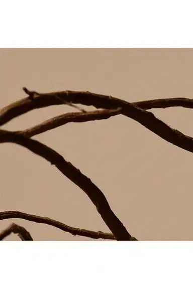 Aesop Solais Replenishing Hand Serum | Thumbnail 4 Aesop Solais Replenishing Hand Serum | Thumbnail 4
