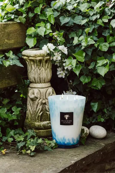 BAOBAB COLLECTION Eden Seaside Signature Candle | Thumbnail 3 BAOBAB COLLECTION Eden Seaside Signature Candle | Thumbnail 3
