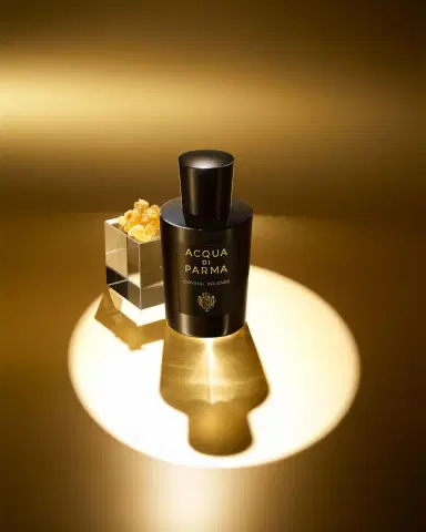 Acqua di Parma Crystal Incense Eau de Parfum, 6 oz. | Thumbnail 5 Acqua di Parma Crystal Incense Eau de Parfum, 6 oz. | Thumbnail 5