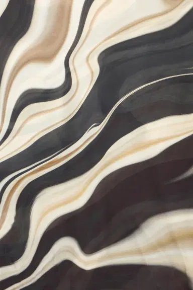 Roberto Cavalli Zebra Print Scarf | Thumbnail 2 Roberto Cavalli Zebra Print Scarf | Thumbnail 2