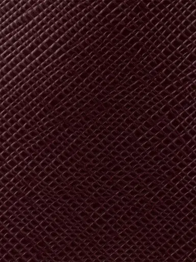 Prada Women's Re-Edition 2005 Saffiano Leather Shoulder Bag - Dark Red | Thumbnail 6 Prada Women's Re-Edition 2005 Saffiano Leather Shoulder Bag - Dark Red | Thumbnail 6