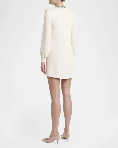 Valentino Garavani Embroidered Collar Draped Silk Mini Dress | Thumbnail 2 Valentino Garavani Embroidered Collar Draped Silk Mini Dress | Thumbnail 2