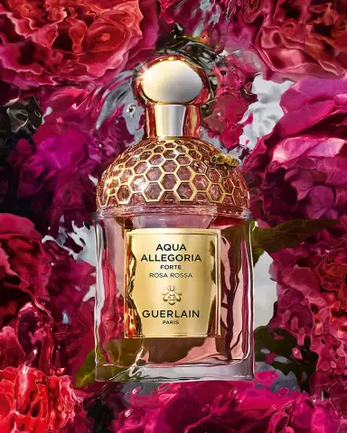 Guerlain Aqua Allegoria Rosa Rossa Rose Forte Eau de Parfum, 4.2 oz. | Thumbnail 2 Guerlain Aqua Allegoria Rosa Rossa Rose Forte Eau de Parfum, 4.2 oz. | Thumbnail 2