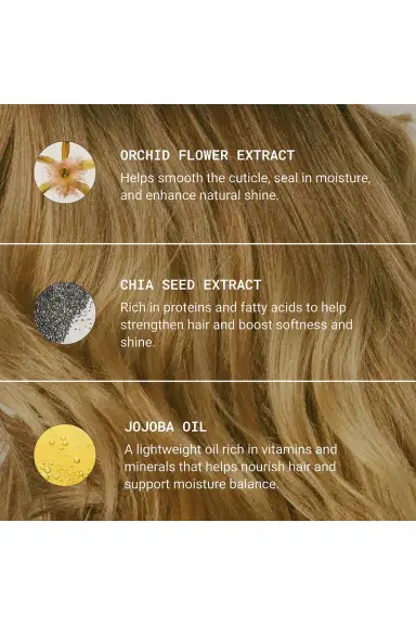 Najeau Nourishing Conditioner | Thumbnail 4 Najeau Nourishing Conditioner | Thumbnail 4