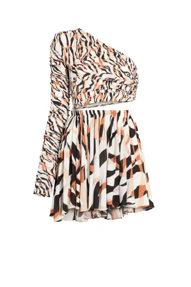 Roberto Cavalli Tiger print cut out dress | Thumbnail 1 Roberto Cavalli Tiger print cut out dress | Thumbnail 1